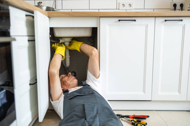 Best Septic Systems  in Thorp, WI